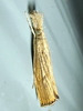 Agriphila vulgivagellus - Vagabond Crambus
