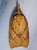 Cenopis reticulatana - Reticulated Fruitworm
