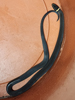 Diadophis punctatus edwardsii - Northern Ringneck Snake